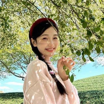 疯狂的旅行箱
